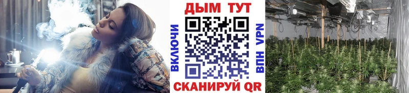 Шишки марихуана гибрид  Чебоксары 